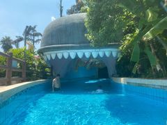 -重庆海昌加勒比海水世界