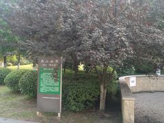 -玉山公园