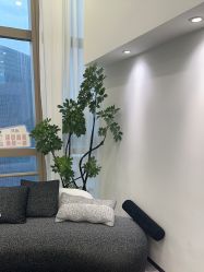 -JNK皮肤管理中心