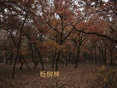 -国家植物园南园