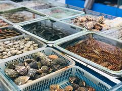 -京港生鲜(四道口店)