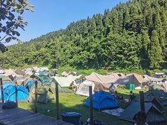 -武陵山森林公园