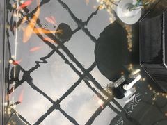 -瓯菜排档·温州海鲜(玕南店)