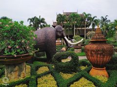 -东芭乐园