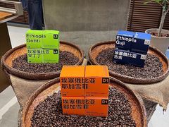 -Grid Coffee(大运天地店)