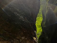 -牛背梁国家森林公园