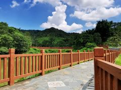 -田心森林公园