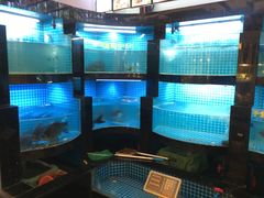 水产区-千岛湖小鱼儿·淳安匠心农家菜