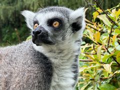 -杭州野生动物世界