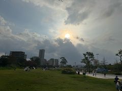 -大亚湾红树林城市湿地公园