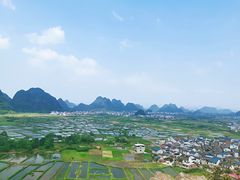 -会仙湿地