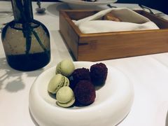 -蝶舍·MAISON PAPILLON