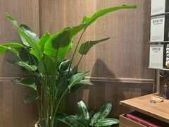 -Peet's Coffee皮爷咖啡(杭州来福士店)