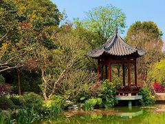 -云溪植物园