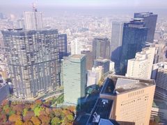 -东京都厅舍