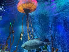 -沈阳海洋探索中心