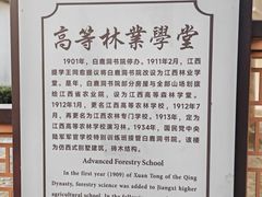 -白鹿洞书院
