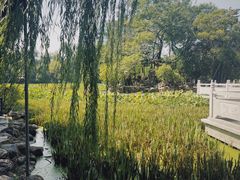 -莲湖公园