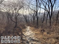 -阳台山自然风景区