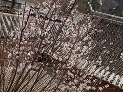 -遥桥古堡