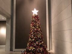 -上海柏悦酒店·世纪100牛排馆
