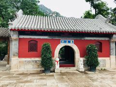 -闻道食府烙饼卷带鱼(原车耳营店原大觉寺店)