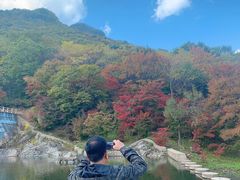 -龙道沟景区