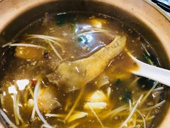 鱼翅-大中鱼翅 Taitong Shark Fin