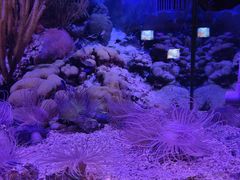 -芜湖新华联大白鲸海洋公园