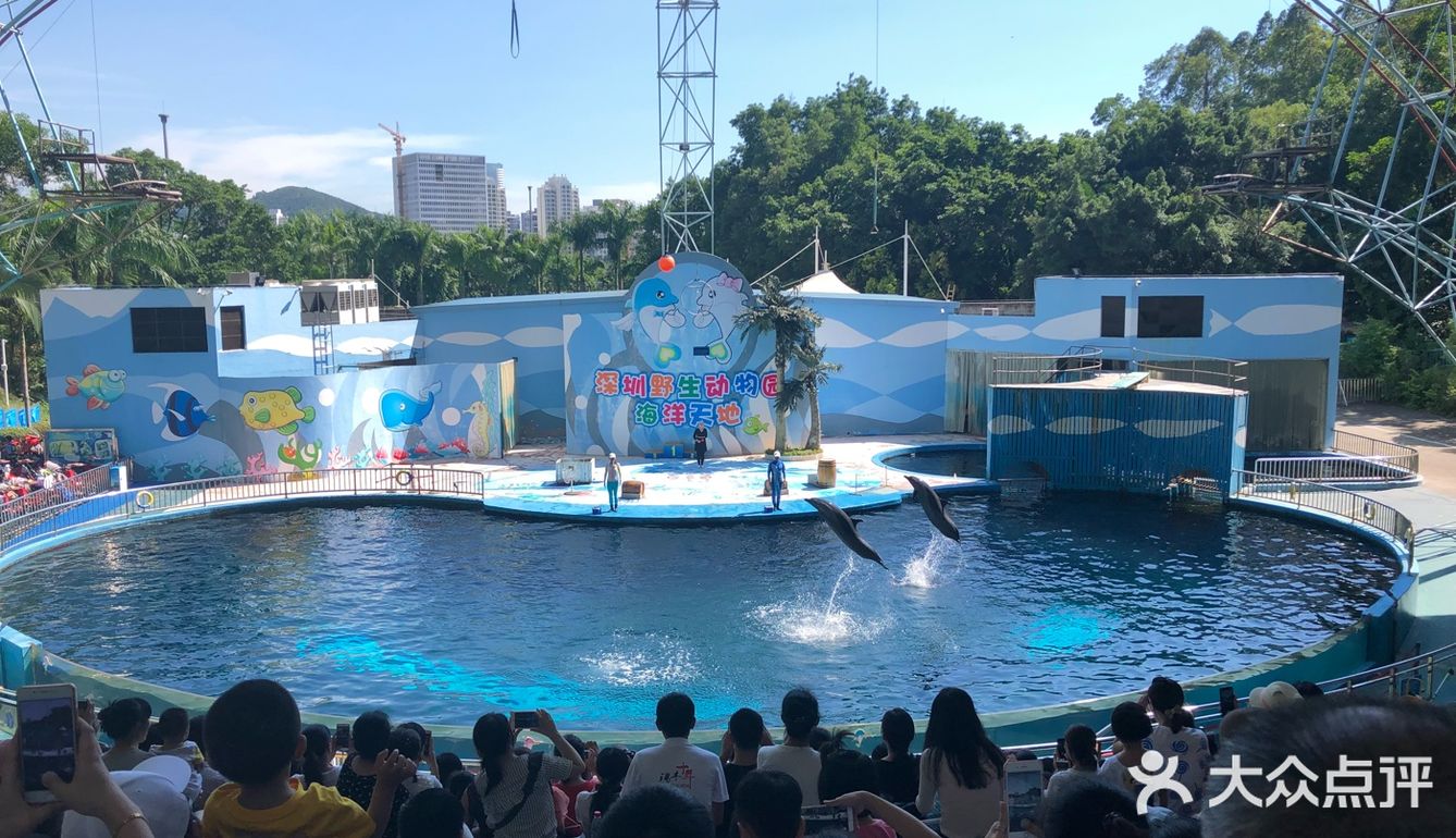 呼吸着富含氧气的干净空气，吹着树林的风