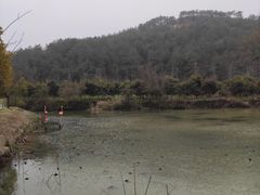 -黄陂区野村谷景区