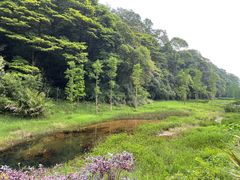 -广州市石门国家森林公园