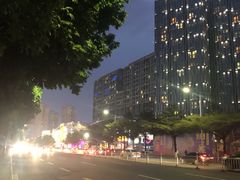 -正宗阳山牛杂(东城店)