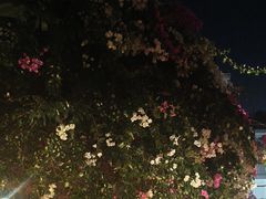 -品德宏·孔雀宴的发源地(金塔园店)