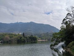 -深圳仙湖植物园