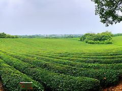 -敬亭山风景名胜区