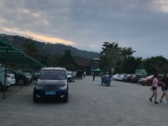 -丹樱生态园