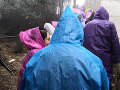 -梦幻奥陶纪景区