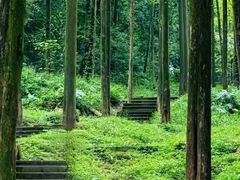 -凤栖山