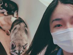 -Husky Go! 哈士奇体验馆·宠物咖啡厅狗咖