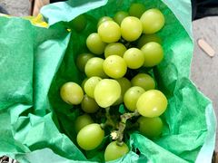 -马陆小张葡萄园农家乐