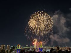 -台场海滨公园船码头