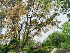 -沙河三洞古桥公园