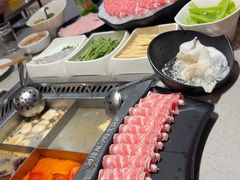 -海底捞火锅(吾悦广场店)