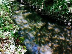 -十九峰景区-倒脱靴