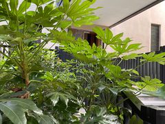 -上海崇明金茂凯悦酒店