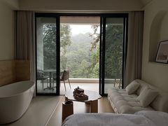 -碧峰峡风景区
