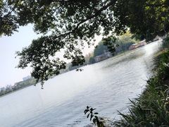 -海珠湖公园