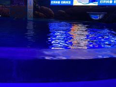 -海合安武汉极地海洋公园