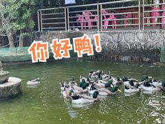 -小河湾酒店